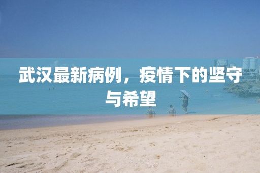 武汉最新病例，疫情下的坚守与希望