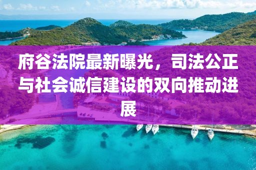 府谷法院最新曝光，司法公正与社会诚信建设的双向推动进展
