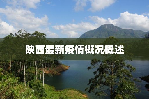 陕西最新疫情概况概述