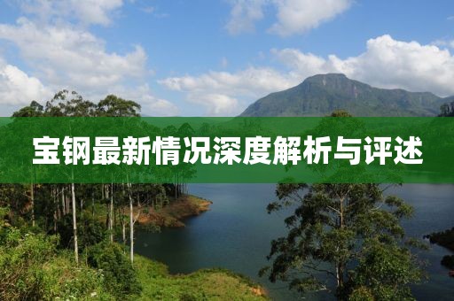 宝钢最新情况深度解析与评述