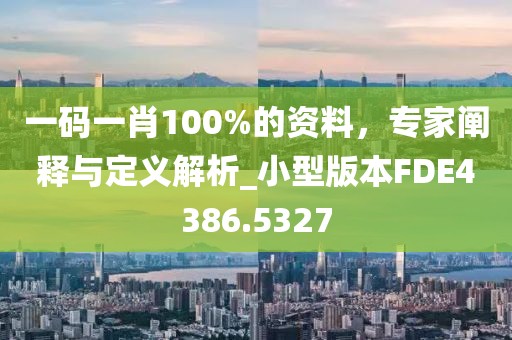 一码一肖100%的资料，专家阐释与定义解析_小型版本FDE4386.5327