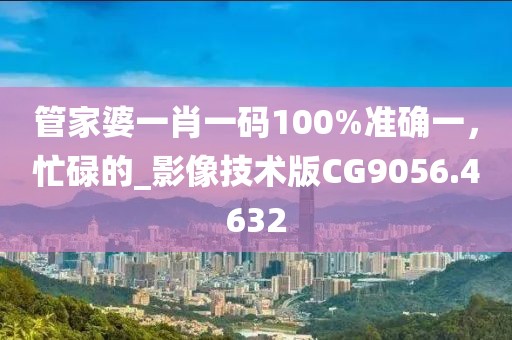 管家婆一肖一码100%准确一，忙碌的_影像技术版CG9056.4632
