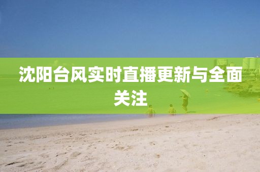 沈阳台风实时直播更新与全面关注