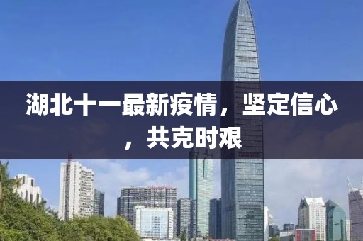 湖北十一最新疫情，坚定信心，共克时艰