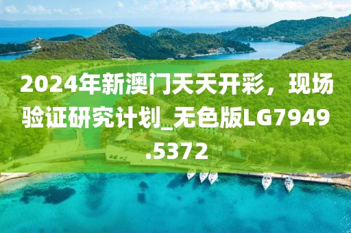 2024年新澳门天天开彩，现场验证研究计划_无色版LG7949.5372