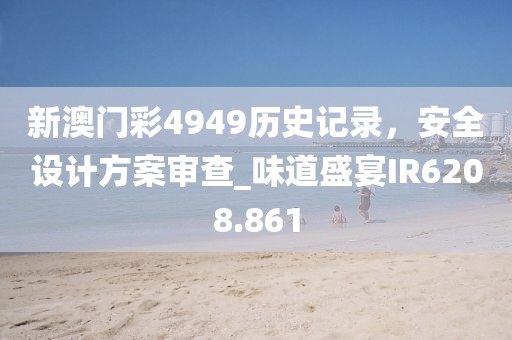 新澳门彩4949历史记录，安全设计方案审查_味道盛宴IR6208.861