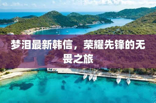 梦泪最新韩信，荣耀先锋的无畏之旅