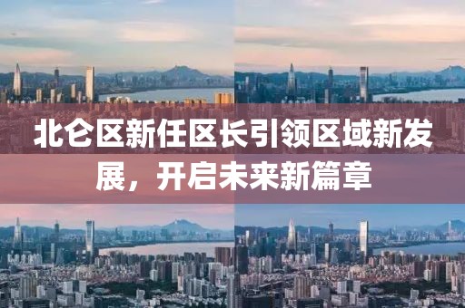 北仑区新任区长引领区域新发展，开启未来新篇章
