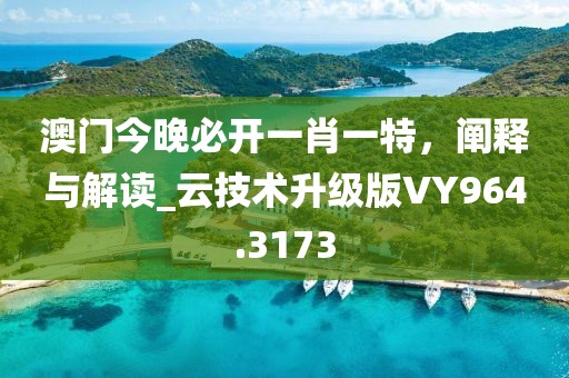 澳门今晚必开一肖一特，阐释与解读_云技术升级版VY964.3173