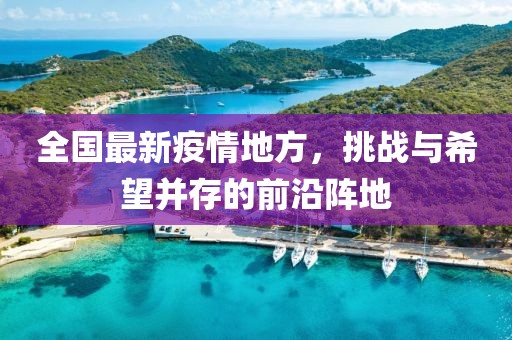 全国最新疫情地方，挑战与希望并存的前沿阵地