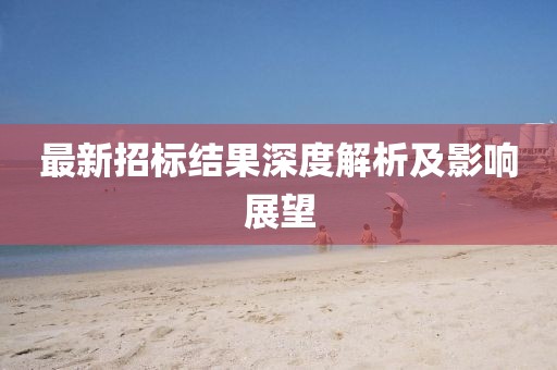 最新招标结果深度解析及影响展望