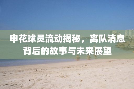 申花球员流动揭秘，离队消息背后的故事与未来展望