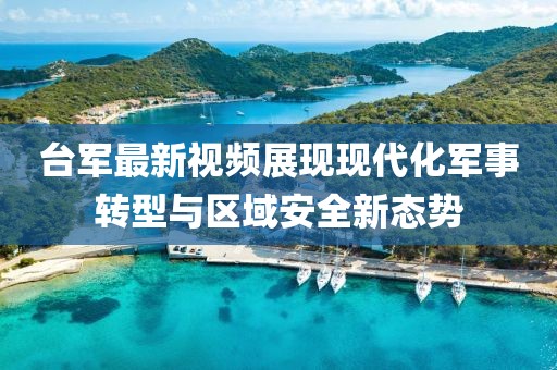 台军最新视频展现现代化军事转型与区域安全新态势