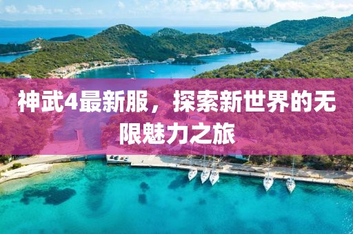 神武4最新服,探索新世界的无限魅力之旅