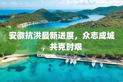 安徽抗洪最新进展，众志成城，共克时艰