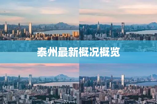 泰州最新概况概览