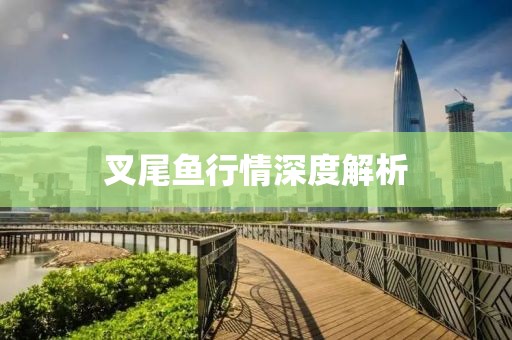 叉尾鱼行情深度解析