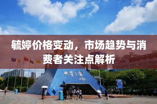 毓婷价格变动，市场趋势与消费者关注点解析