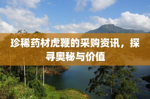 珍稀药材虎鞭的采购资讯，探寻奥秘与价值