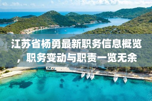 江苏省杨勇最新职务信息概览，职务变动与职责一览无余