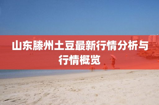 山东滕州土豆最新行情分析与行情概览