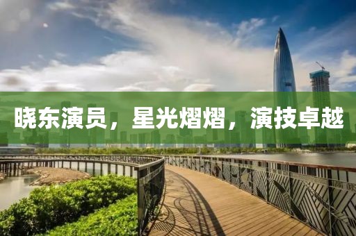 晓东演员，星光熠熠，演技卓越