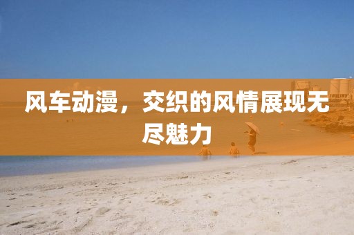 风车动漫，交织的风情展现无尽魅力