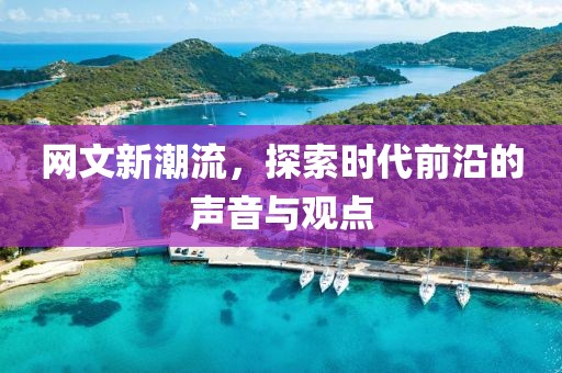 网文新潮流，探索时代前沿的声音与观点
