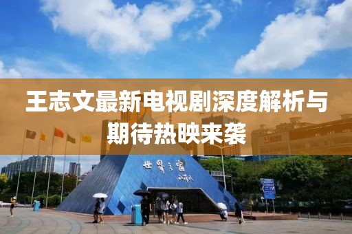 王志文最新电视剧深度解析与期待热映来袭