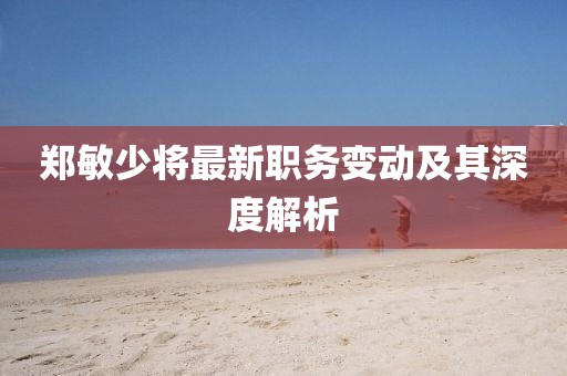 郑敏少将最新职务变动及其深度解析