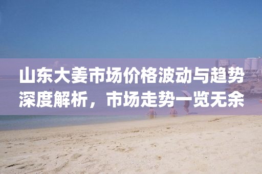 山东大姜市场价格波动与趋势深度解析，市场走势一览无余