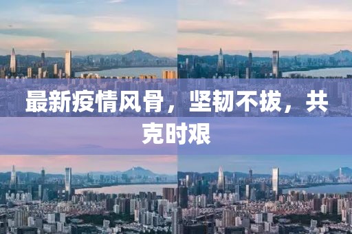 最新疫情风骨，坚韧不拔，共克时艰