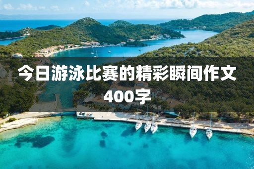 今日游泳比赛的精彩瞬间作文400字
