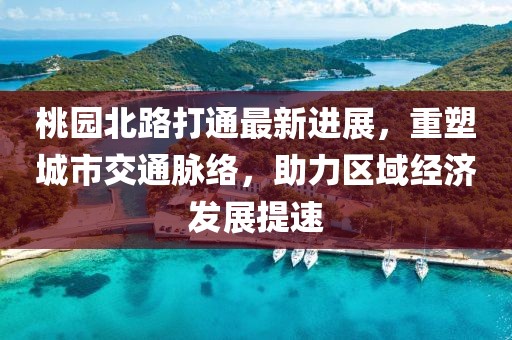 桃园北路打通最新进展，重塑城市交通脉络，助力区域经济发展提速