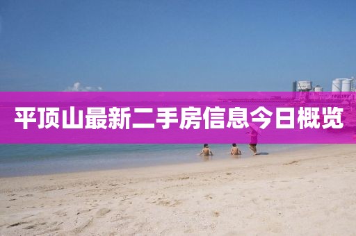 平顶山最新二手房信息今日概览