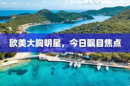 2025年3月 第15页