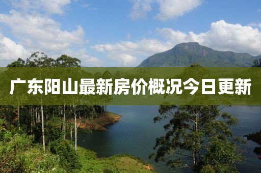 广东阳山最新房价概况今日更新