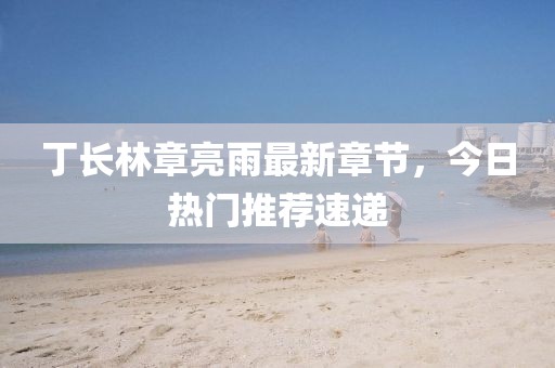 丁长林章亮雨最新章节,今日热门推荐速递