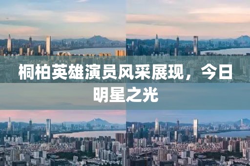 桐柏英雄演员风采展现，今日明星之光