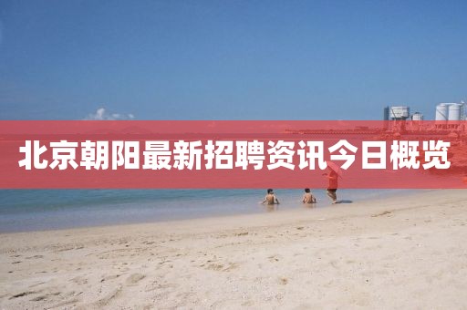 北京朝阳最新招聘资讯今日概览