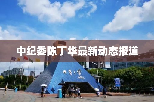 中纪委陈丁华最新动态报道