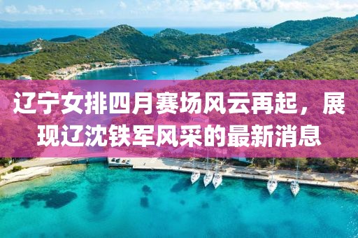 辽宁女排四月赛场风云再起，展现辽沈铁军风采的最新消息