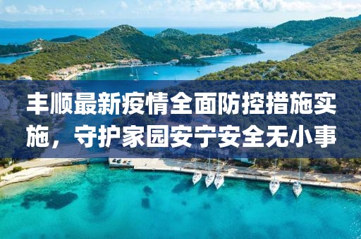 丰顺最新疫情全面防控措施实施，守护家园安宁安全无小事