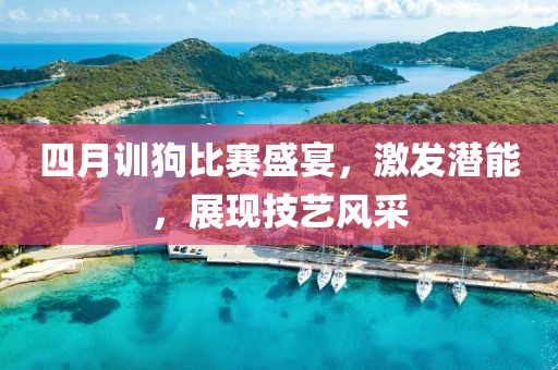 四月训狗比赛盛宴，激发潜能，展现技艺风采