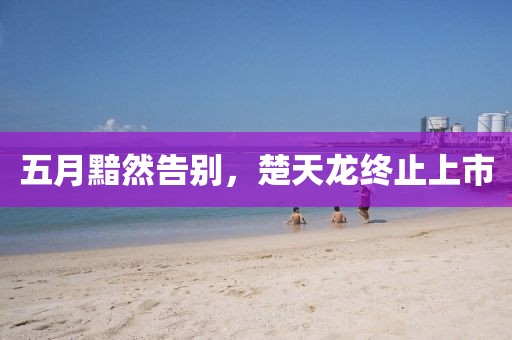 五月黯然告别，楚天龙终止上市