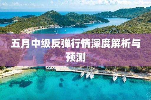 五月中级反弹行情深度解析与预测