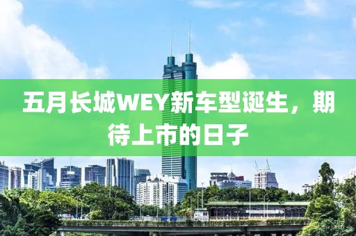 五月长城WEY新车型诞生，期待上市的日子