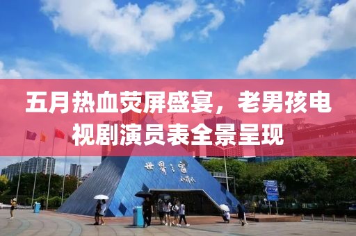 五月热血荧屏盛宴，老男孩电视剧演员表全景呈现