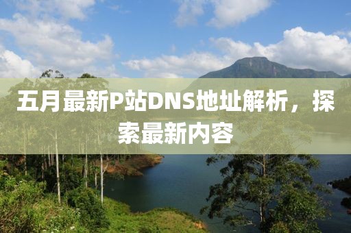 五月最新P站DNS地址解析，探索最新内容