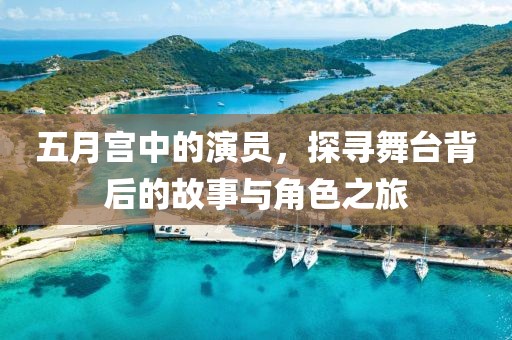 五月宫中的演员，探寻舞台背后的故事与角色之旅